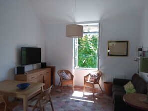 TV, DVD player, table tennis, books