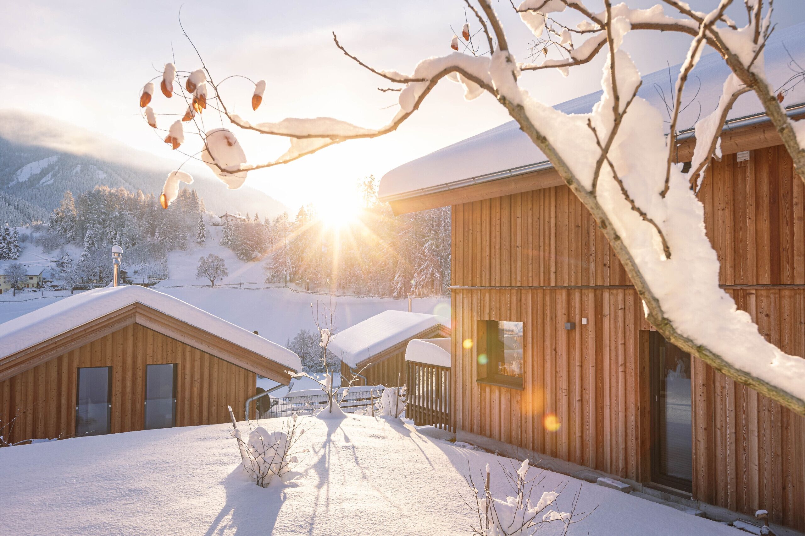 Àrea exterior de l'allotjament