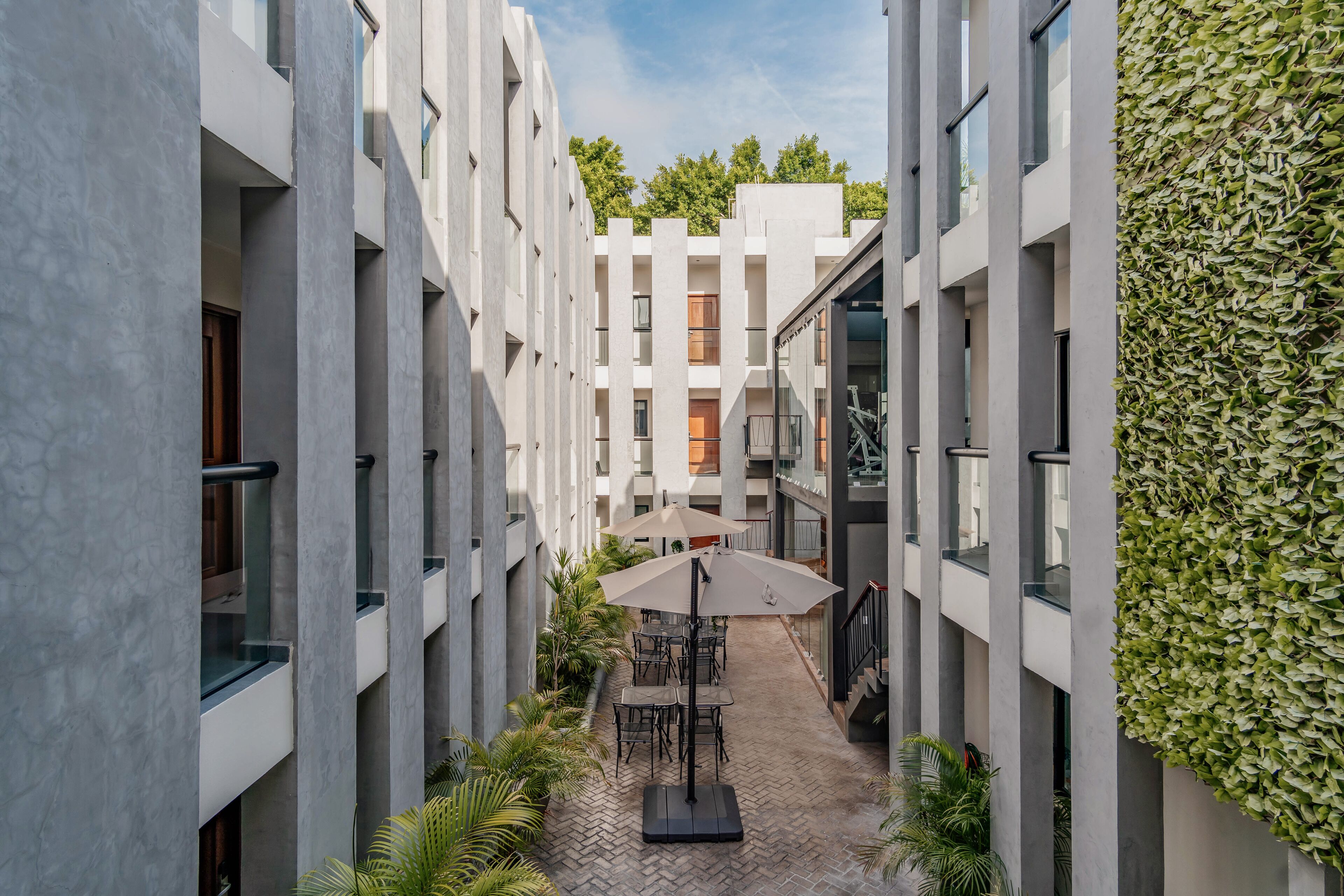 Foto - Youssef Exceptionnel Merida