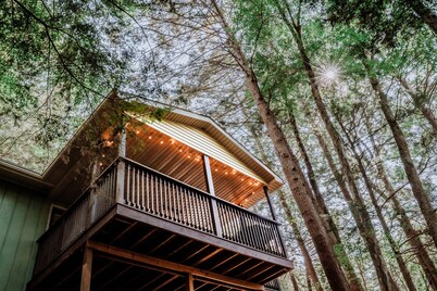 Private Creekfront-fish-Kayaks,campfire,decks, well known trout stream, privacy