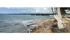 A rocky beach with a tree trunk and a clear view of the sea. - LaCasita Ocean Front House (Aguada)