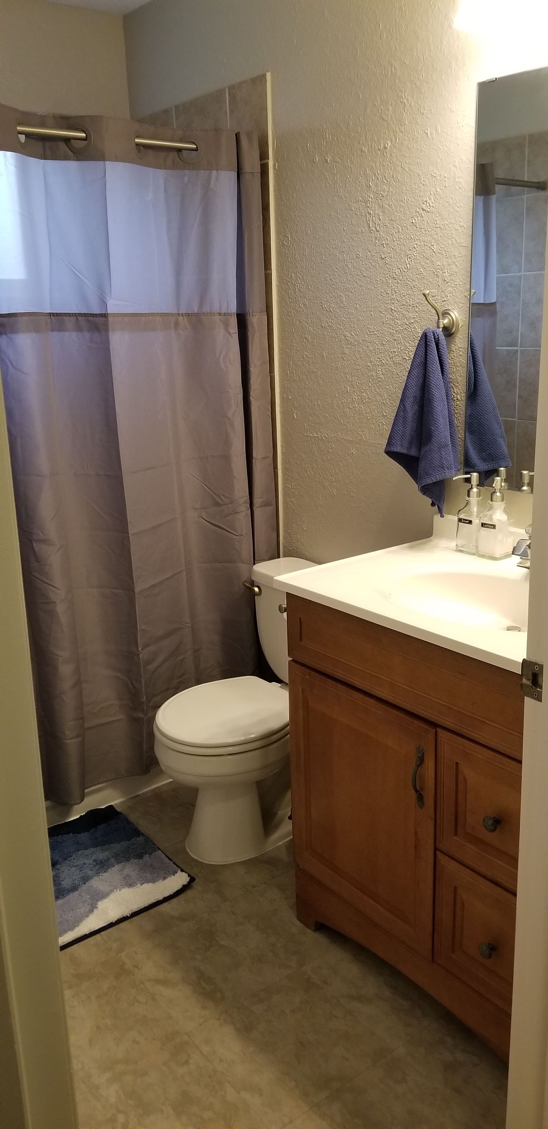 A bathroom with a toilet, a wooden vanity, a sink with a mirror, and a shower curtain.