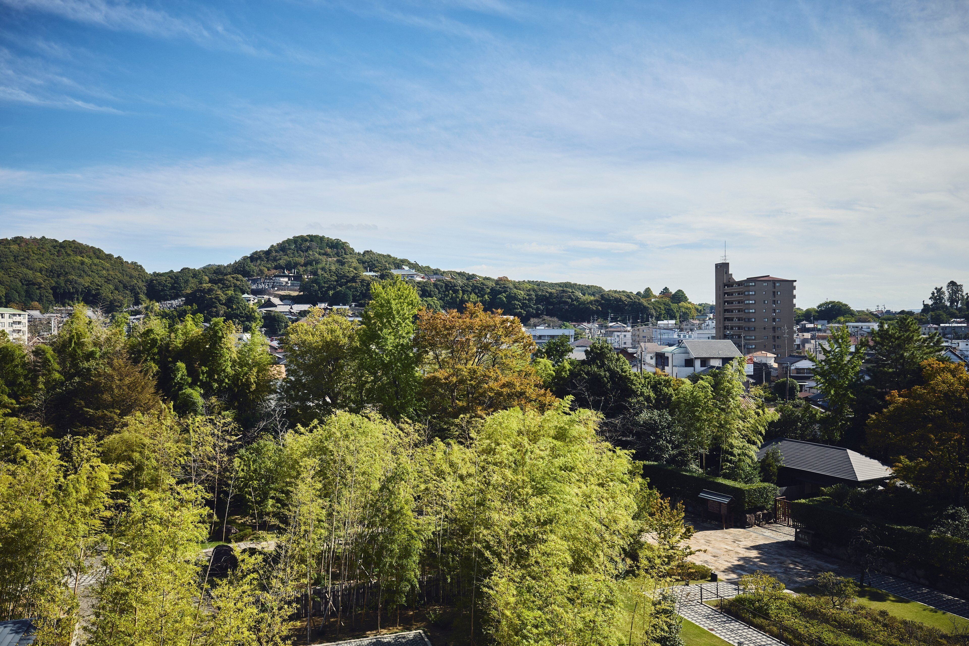 Down comforters, minibar, in-room safe, desk
