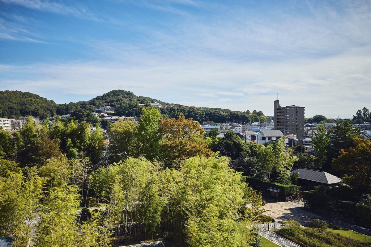 A residential area with a mix of modern and traditional buildings, surrounded by lush greenery.