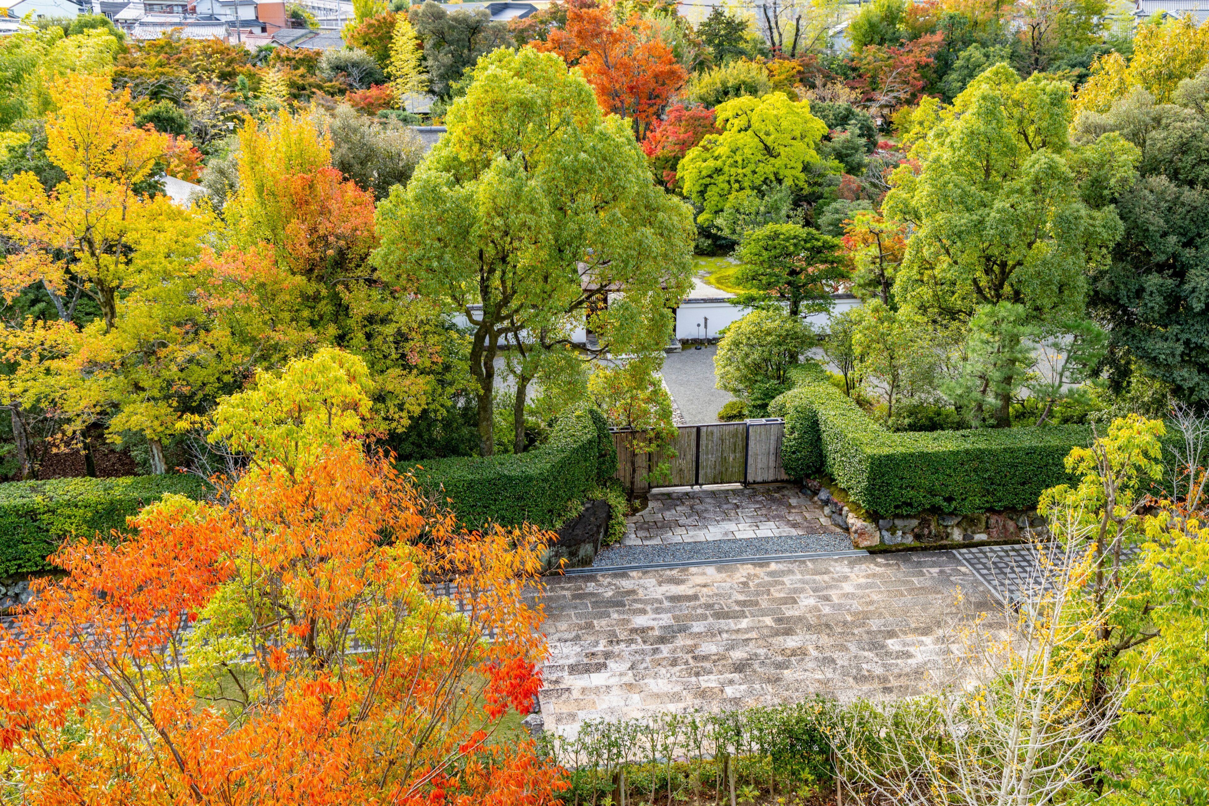 Down comforters, minibar, in-room safe, desk