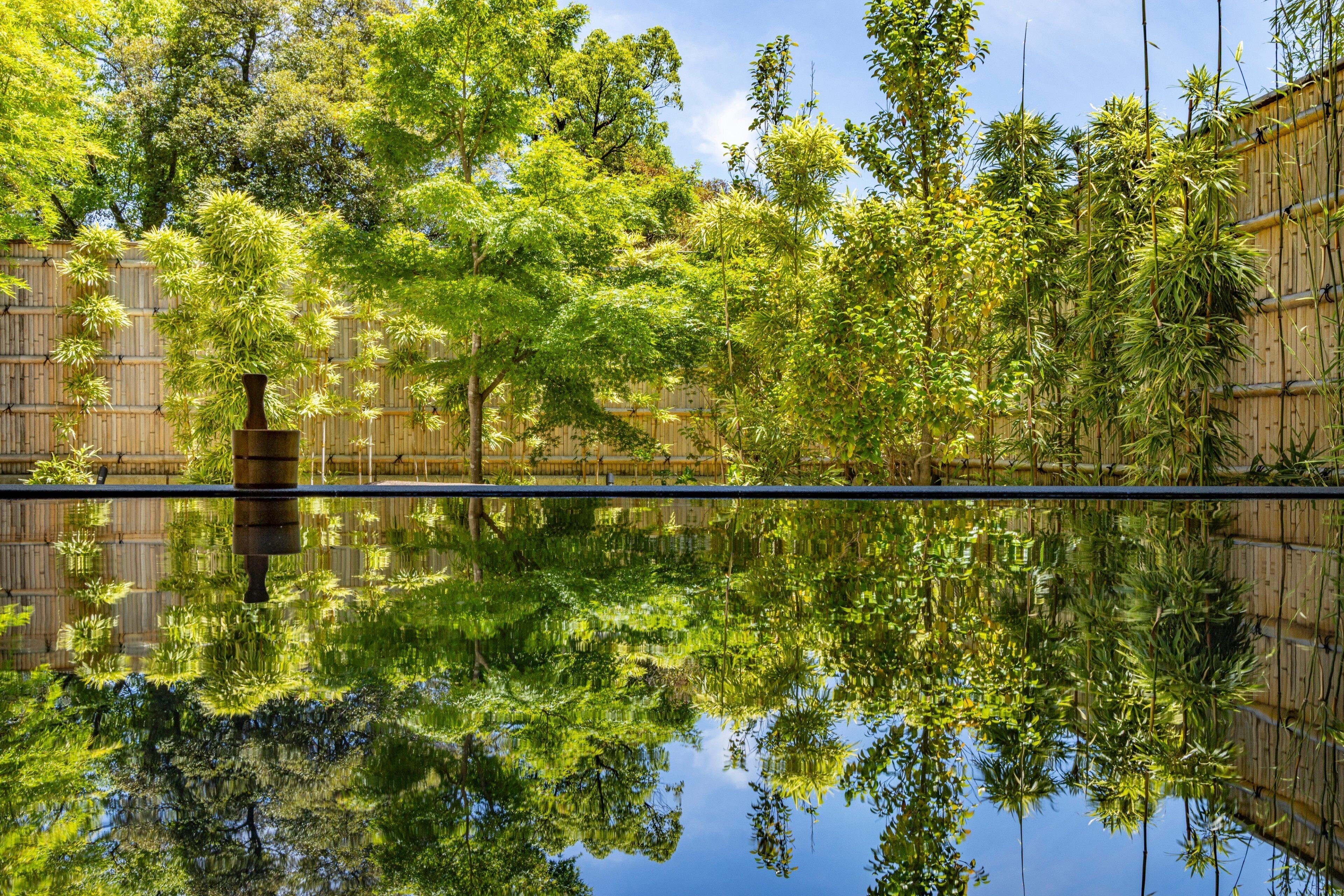 Un espace extérieur paisible, avec une étendue d’eau calme et miroitante, entouré de bambous et d’arbres.
