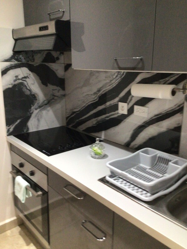Compact kitchen with induction cooktop, oven, and stainless steel range hood.