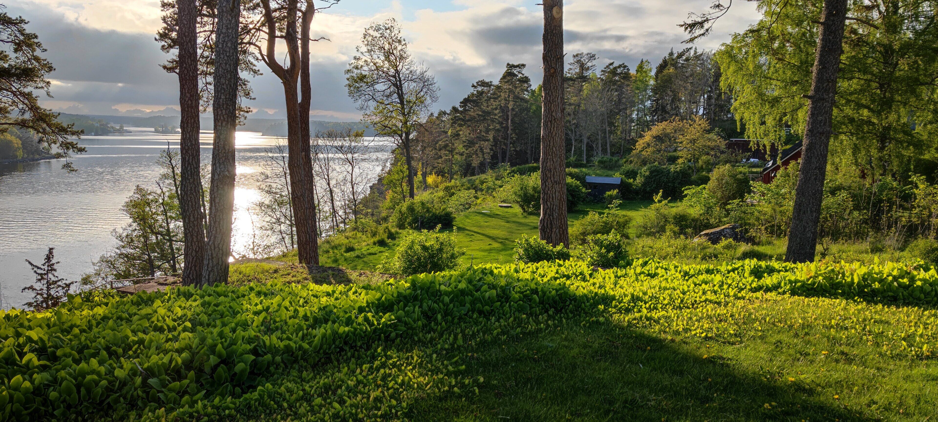 A lush landscape with a lake, trees, and a small building.