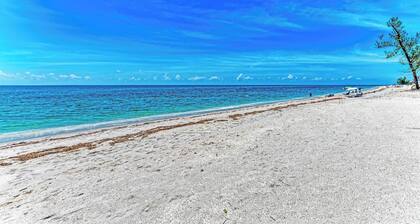 3 Bedroom- Beachfront Condo with Beautiful Views of the Gulf