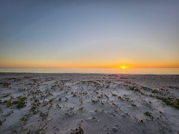 Enjoy a serene beach scene with ocean views and a peaceful atmosphere.