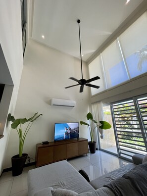 TV
