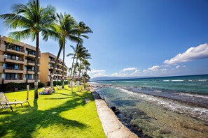 On the beach - Ocean views and tropical breezes (Lahaina)