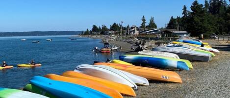 Camastros y toallas de playa