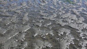 Ein Kind geht über einen nassen, felsigen Strand, im Hintergrund ein klarer Himmel und Berge.