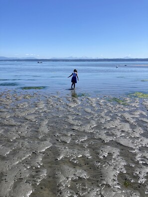 Chaise longue, serviettes de plage