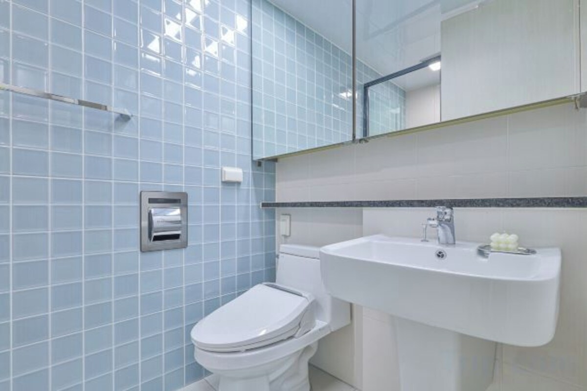 Shower, hair dryer, bidet, heated floors (bathroom)