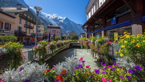 A canal with colorful flowers and a mountain backdrop.