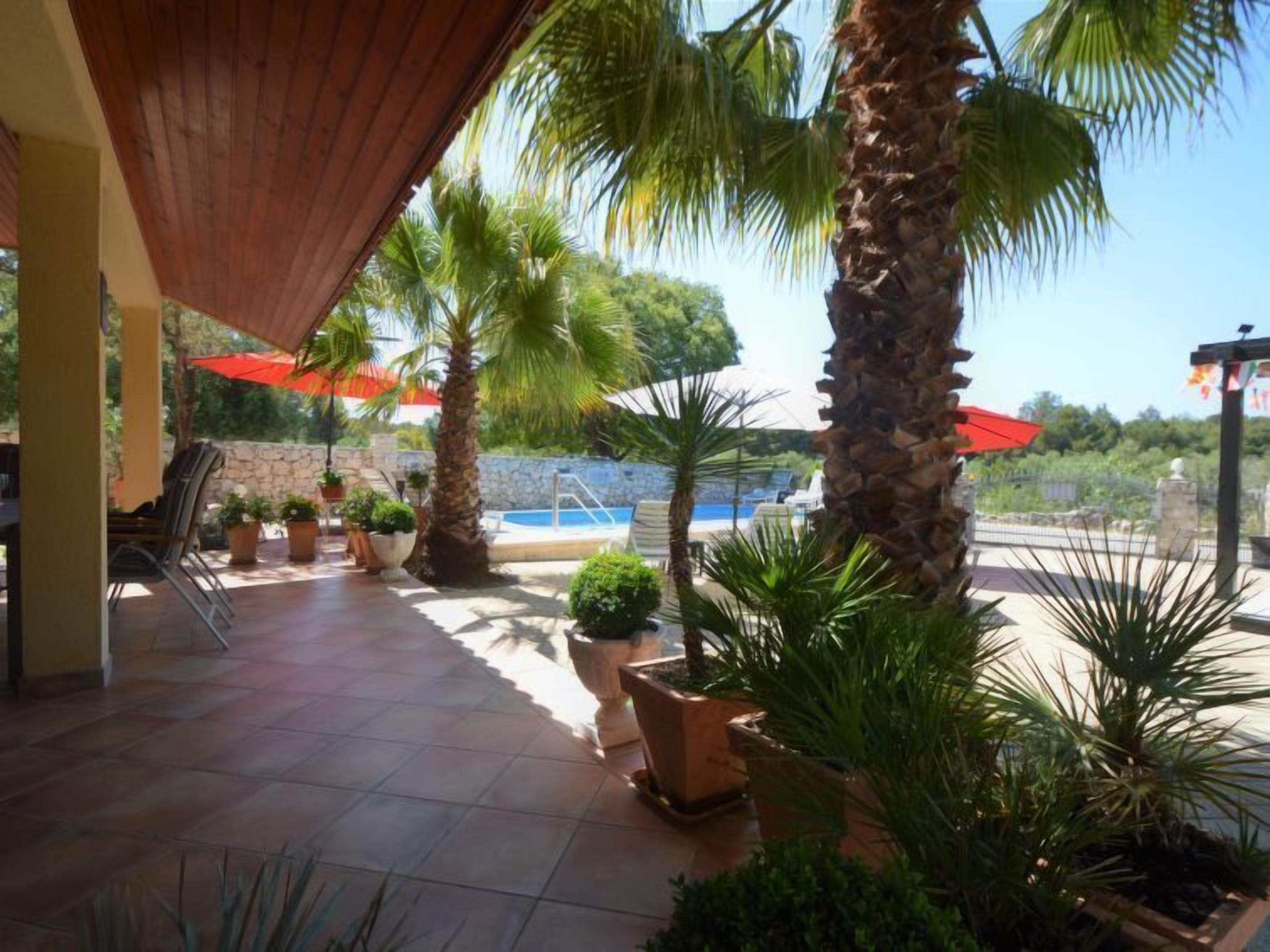 A covered outdoor area with a pool, palm trees, and potted plants.