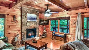 TV, fireplace, video games