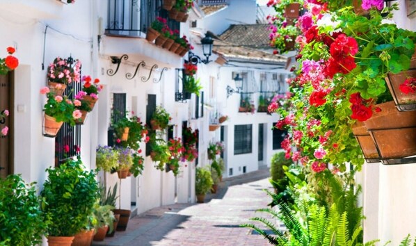 Una calle estrecha flanqueada por edificios blancos, algunos con balcones decorados con macetas colgantes de flores.