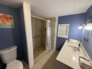 Shower, hair dryer, towels, soap - Rural House w/ Relaxing Back Porch on 4 Acres (Dawsonville)