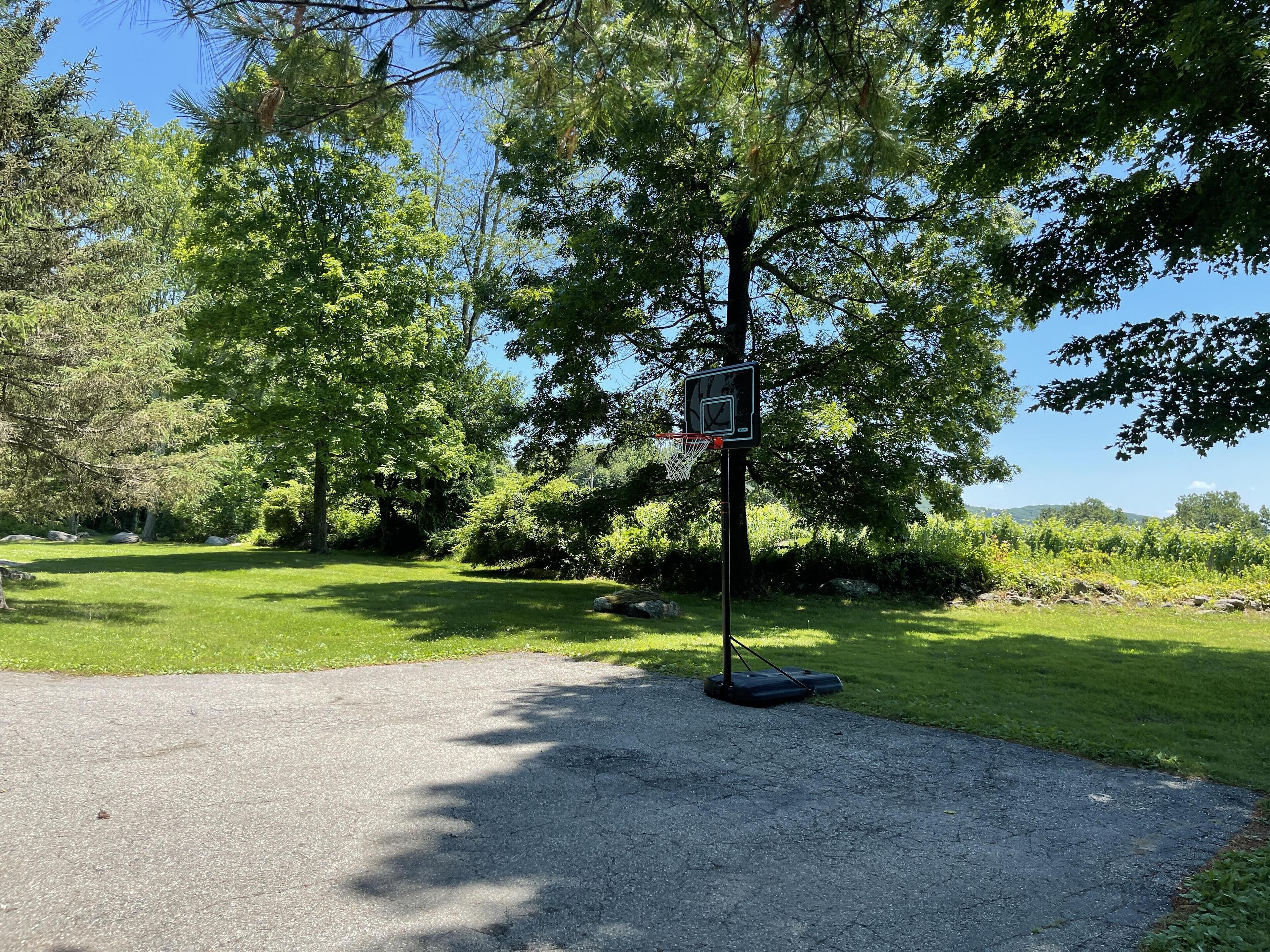 Un terrain de basket avec un panier et un panneau, entouré d’arbres et d’herbe.