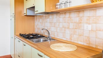 Fridge, oven, stovetop, cookware/dishes/utensils