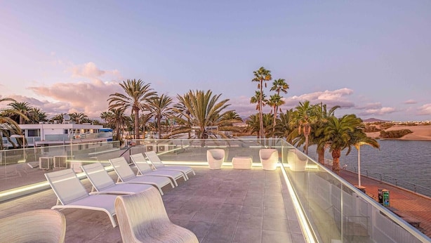 Una terraza en la azotea con sillones de descanso, palmeras y vistas al agua.