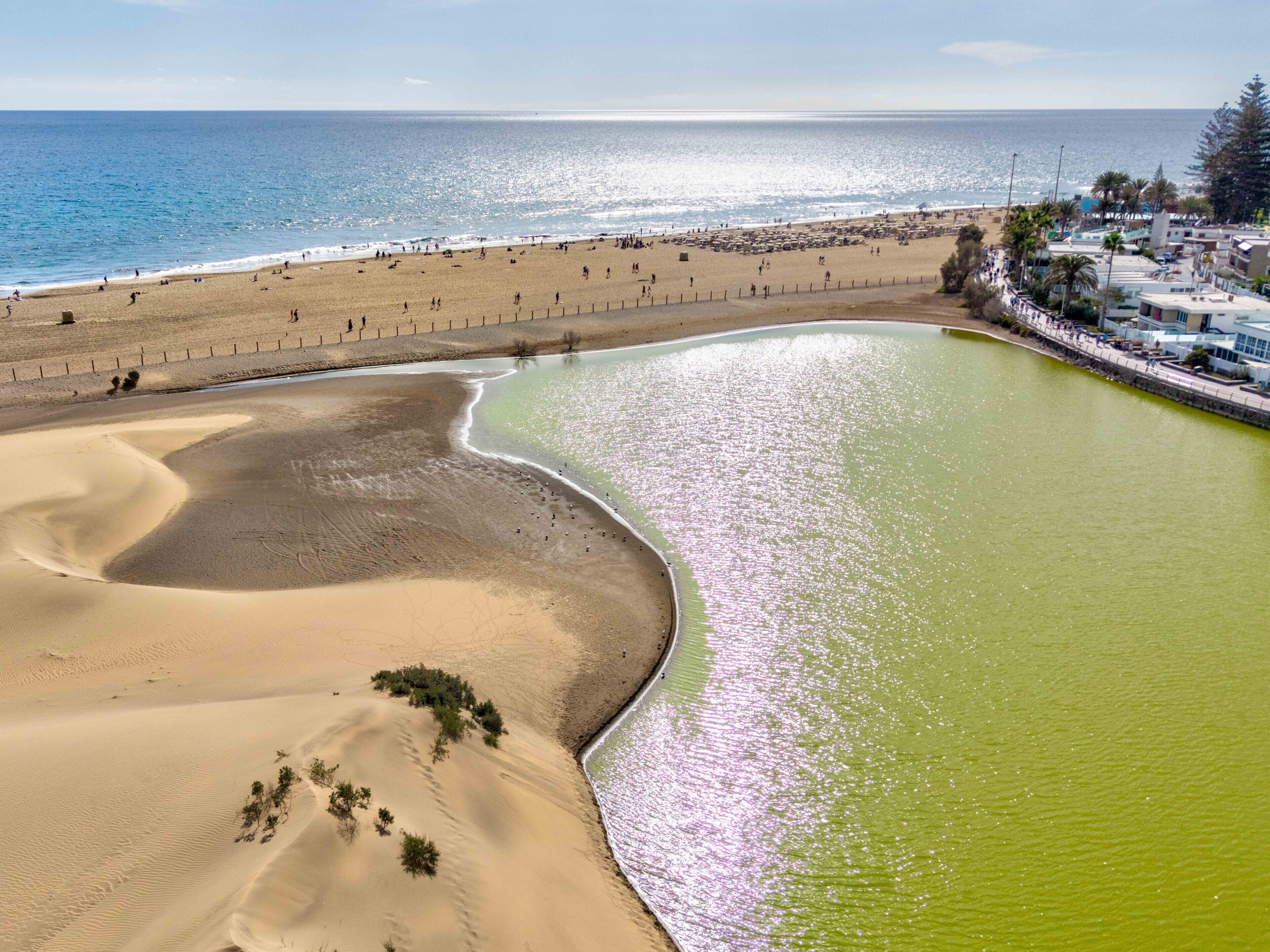 Nära stranden