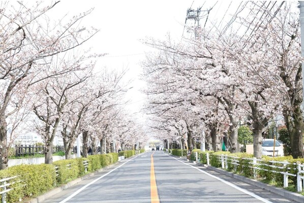 施設の敷地