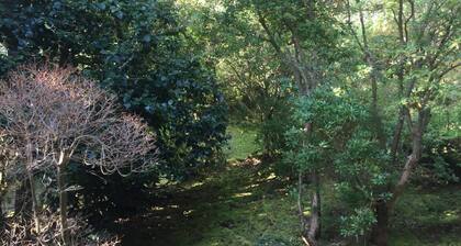 Longterm stay telework welcome Free wifi availab / Ashigarashimo-gun Kanagawa