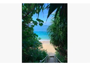 Beach - LOGIN OKINAWA soil / Kunigami-gun Okinawa (Kunigami-gun)