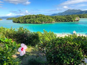 Beach - EAST MAUNA A room on the east side where you c / Ishigaki Okinawa (Ishigaki)
