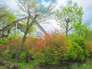 Exterior - A villa in Nasu no Mori Yumoto 15 minutes walk to - Rigel / Nasu-gun Tochigi (Nasu-gun)