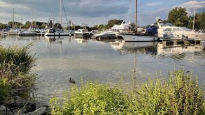 Ein Yachthafen mit mehreren vertäuten Booten, ruhigem Wasser und Grünpflanzen im Vordergrund.