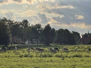 Unclassified image, 2 of 19, button