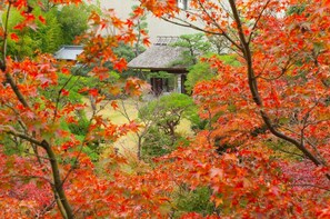 Stroll through a serene traditional Japanese garden featuring a central thatched-roof pavilion surrounded by lush greenery and a meandering pathway.