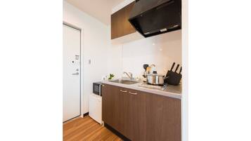 Fridge, microwave, cookware/dishes/utensils