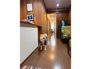 住宿内部