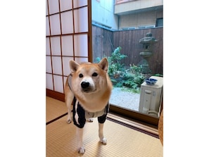 住宿内部