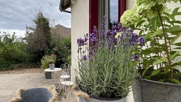 Un espace jardin aménagé avec des plantes en pot et du mobilier d’extérieur.