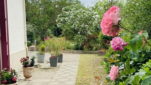 Un chemin de jardin menant à un bâtiment agrémenté de plantes en pot et de fleurs en pleine floraison.