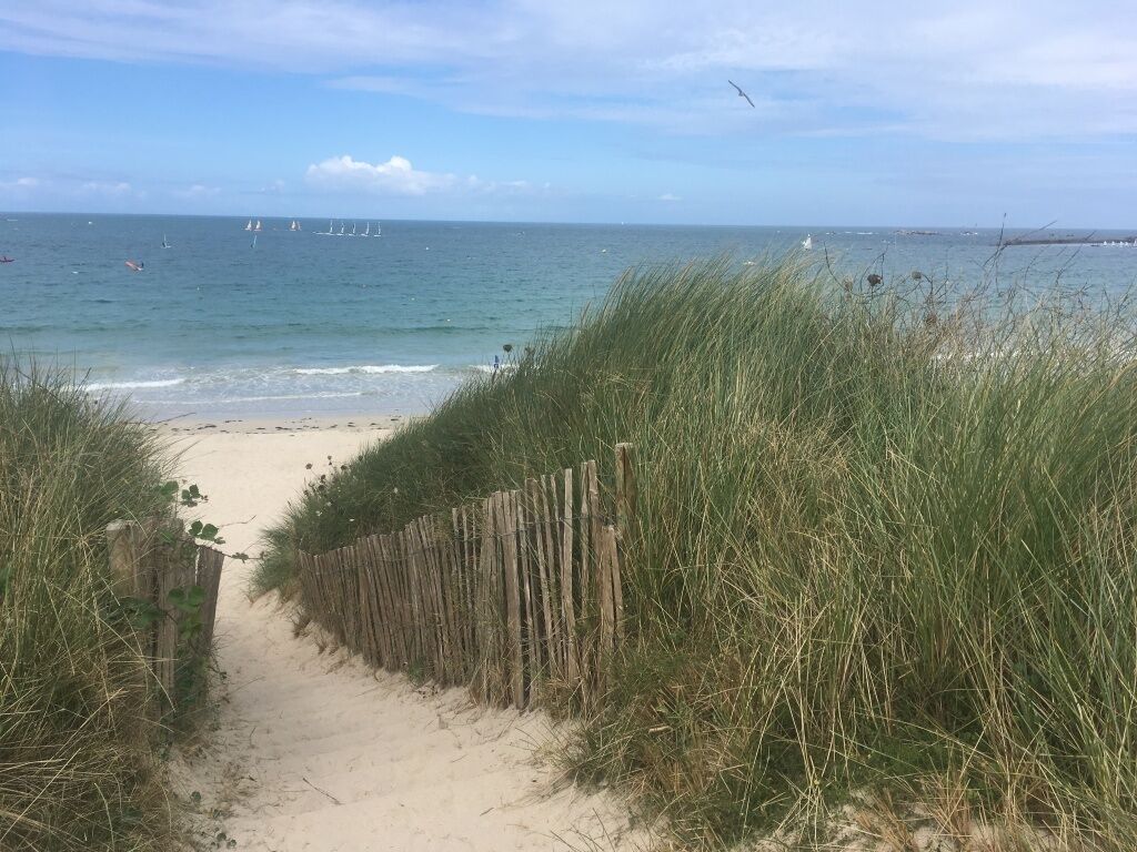 Un sentier de sable qui longe la plage et mène à l’océan, bordé d’herbes hautes et d’une clôture en bois.