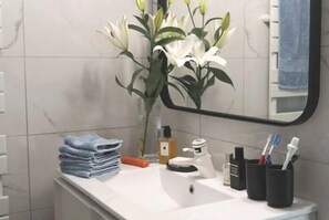 Douche, sèche-cheveux, serviettes fournies, papier toilette