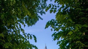 Een geplaveid pad dat leidt naar historische gebouwen, met een toren op de achtergrond.