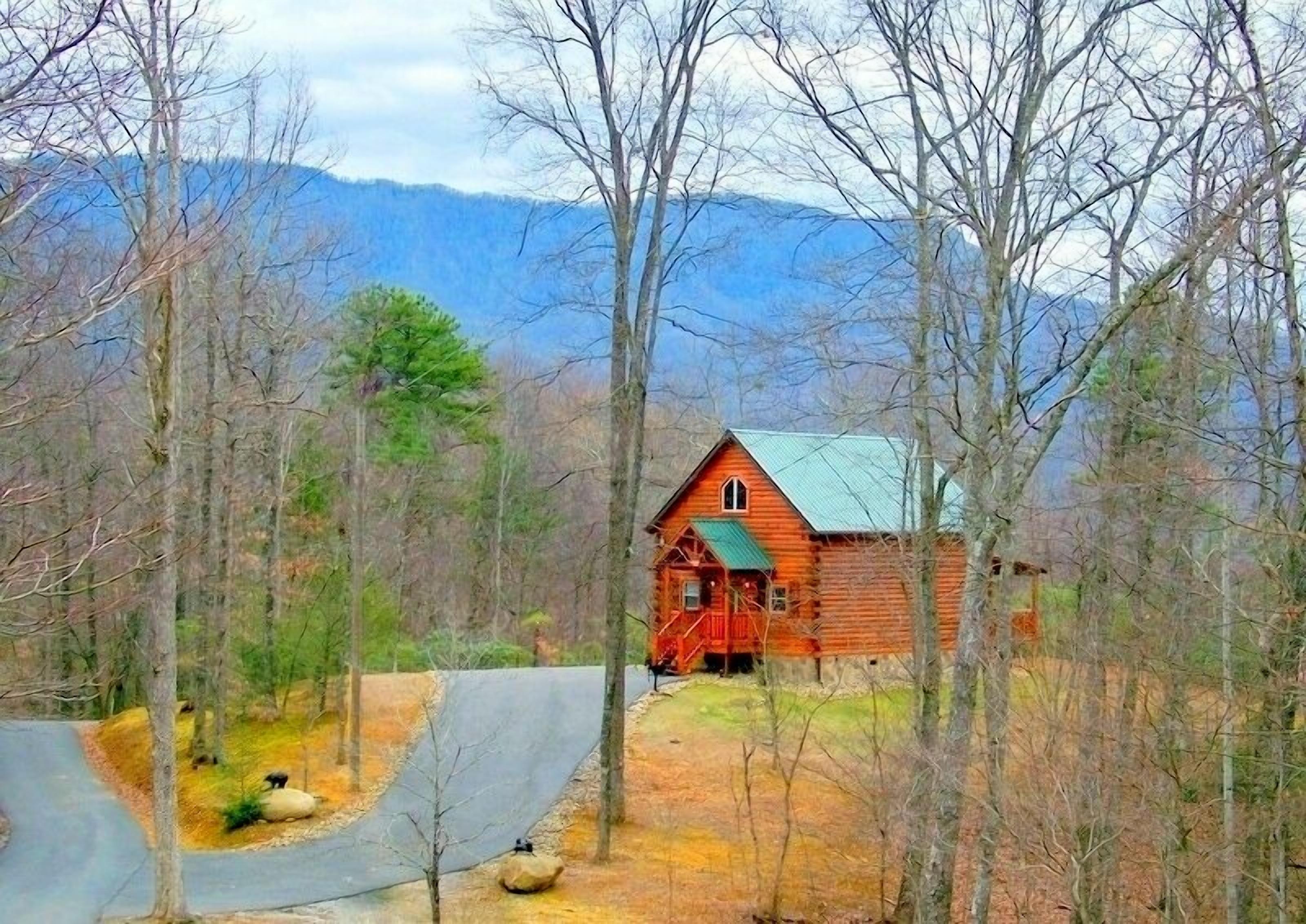 Luxurious log 1-bedroom cabin sits high atop a 1+acre ridge facing Mt. LeConte.