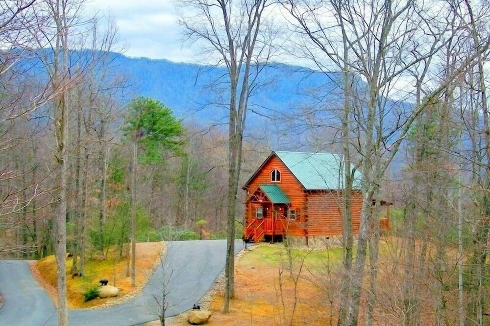 Luxurious log 1-bedroom cabin sits high atop a 1+acre ridge facing Mt. LeConte.