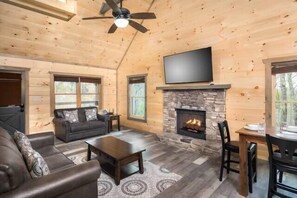 Flat-screen TV, fireplace, video games