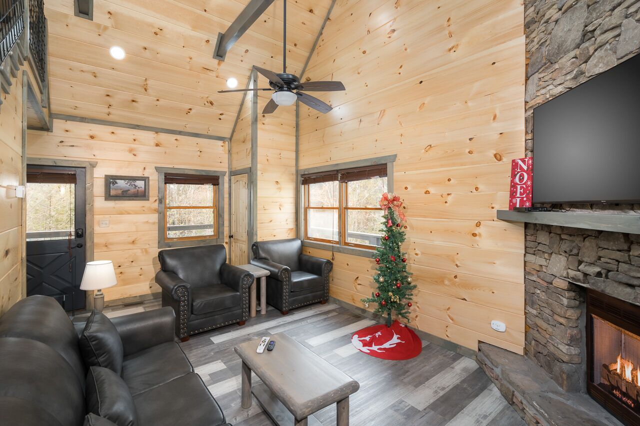 Televisión y chimenea 