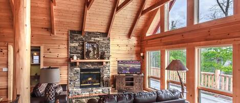 TV, fireplace, video games